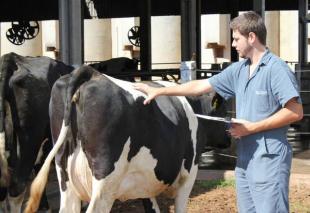 Profissão do Agronegócio: Zootecnia.