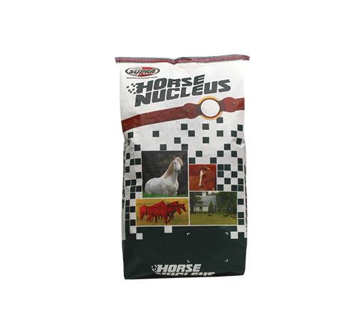 Horse Nucleus 240