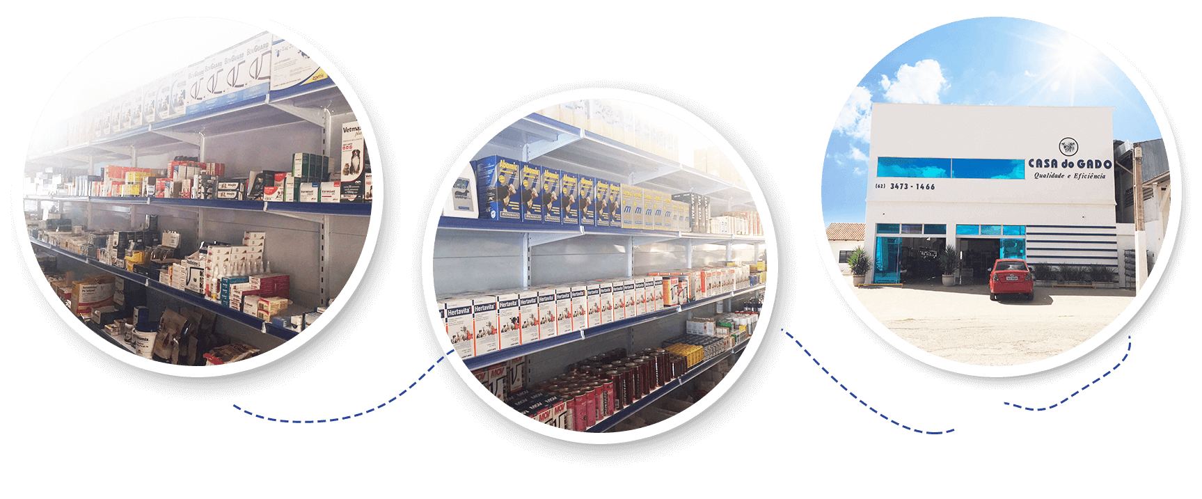 adubos, bretes bovinos e suinos em iaciara go